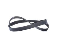 INA FB 6PK1070 Cinghia di distribuzione