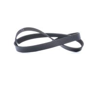 INA FB 6PK1070 Cinghia servizi per VW Polo Hatchback (6R1, 6C1) GOLF VI (5K1)