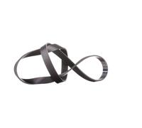 Cinghia trapezoidale multirighe FB 6PK1195 INA per FIAT HYUNDAI MERCEDES-BENZ VW