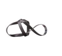 Cinghia trapezoidale multirighe FB 6PK1195 INA per FIAT HYUNDAI MERCEDES-BENZ VW