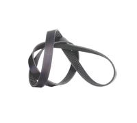 INA FB 6PK1245 Cinghia servizi