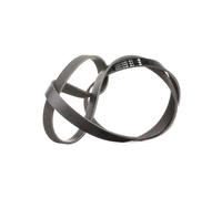 INA FB 6PK1555 Cinghia servizi