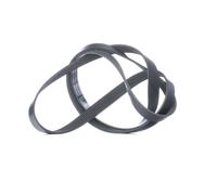 INA FB 6PK1735 Cinghia servizi per VW Polo Schrägheck (6R1, 6C1) GOLF VI (5K1)