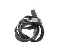 INA FB 6PK1740 Cinghia servizi