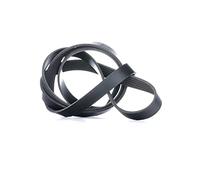 Cinghia trapezoidale multirighe FB 6PK1873 INA per AUDI MERCEDES-BENZ CHEVROLET