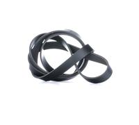 Cinghia trapezoidale multirighe FB 6PK1873 INA per AUDI MERCEDES-BENZ CHEVROLET