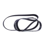 INA FB 6PK2215 Cinghia servizi