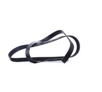 INA FB 6PK2260 Cinghia servizi