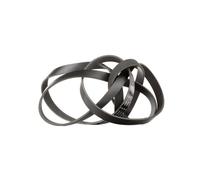 INA FB 6PK2490 Cinghia servizi