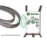 INA FB 6PK2500 Cinghia di distribuzione