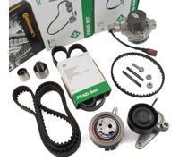 INA Kit Cinghia Dentata Cinghia A V + Pompa Per AUDI A1-A6 Golf 7 1.6 2.0 TDI