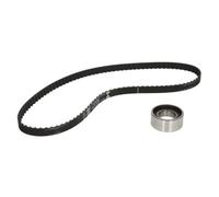 Set di cinghie di distribuzione INA 530 0009 10