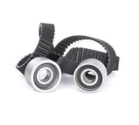 Kit cinghia distribuzione 530 0117 10 INA per FIAT PEUGEOT CITROËN RENAULT IVECO