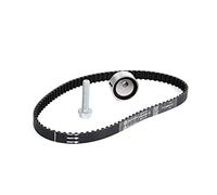 Set di cinghie di distribuzione INA 530 0182 10