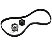 Ina 530022610 Kit Tendicinghia