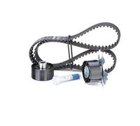 INA Set cinghie di distribuzione 530 0449 10 per Ford, Volvo, Peugeot, Fiat, Lancia