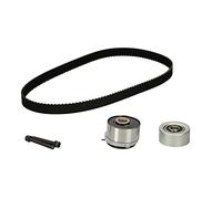 INA Kit cinghia di distribuzione 530 0700 10 N° cinghie: 2