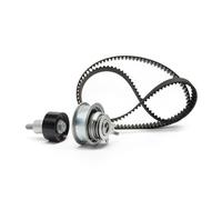 INA Kit cinghie dentate 530 0592 11