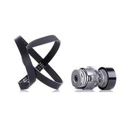 Ina 529 0009 10 Cinghia di Distribuzione