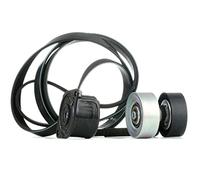 INA Kit Cinghie Poly-V 529031410