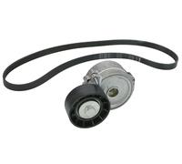 INA Kit Cinghie Poly-V 529 0315 10 1270mm