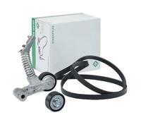 INA Kit cinghie Poly-V 529 0319 10 1745 mm
