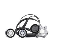 Set di cinghie Poly-V INA 529 0321 10