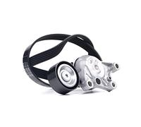 INA 529 0335 10 Kit Cinghie Poly-V per CITROËN,DS,OPEL,PEUGEOT,TOYOTA,VAUXHALL