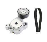 INA Kit Cinghie Poly-V 529 0340 10 493mm