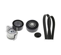 Set di cinghie Poly-V INA 529 0359 10