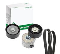 INA Kit Cinghie Poly-V 529 0383 10 1076mm