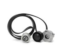 INA Set cinghie Poly-V 529 0484 20 con puleggia a ruota libera per Audi Q5, A4 Avant