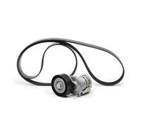 Set di cinghie Poly-V INA 529 0521 20