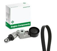 INA 529 0555 10 Kit Cinghie Poly-V