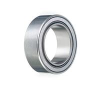 ina NA2202 - 2RSR carré tipo pista cuscinetto a rulli