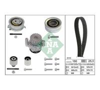INA Pompa Acqua + Dentate per VW Passat Tutti Traccia 365 3C5 Audi A4 Avant