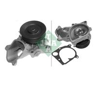 INA Pompa Acqua di Raffreddamento Adatto A per BMW X3 X5 3er Touring 538 0187 10