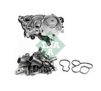 INA Pompa Acqua di Raffreddamento per VW Golf VII 5G1 BE1 BQ1 BE2 Polo 6R_6R 6C