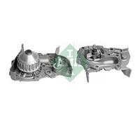 INA Pompa Acqua per Renault Clio II BB _ CB _ Kangoo KC0/1_ Megane I BA0/1_