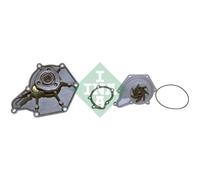 INA Pompa Acqua Raffreddante per Audi A6 Allroad 4FH C6 4F5 Q5 8RB 8R 8KH B8