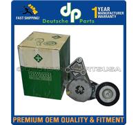 INA Tenditore Cinghia Montaggio Audi TT Quattro VW Jetta Golf Beetle 533007630