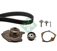 INA Timing Belt Kit