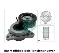 INA V-Ribbed Tendicinghia Leva, Ausiliaria, Drive - 534 0606 10 - Qualità OE