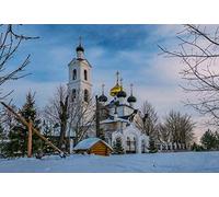 INABA Churu Luxury Snack per Gatti Cremoso con Tonno e Aragosta - 1 Pack (4 Stick x 14gr) - Delizioso e Pregiato Cibo per Gatti da Leccare - Snack Gatto Senza Conservanti o Coloranti Artificiali