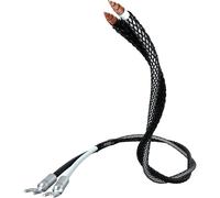 Inakustik Riferimento LS-104 Micro AIR Fourche (2 x 3m) - Cavo per altoparlante o diffusore, assemblato, 2,62 mm²