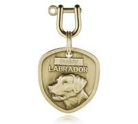 INBLUE Personalizzato Inciso Cane Nome Targhette per Animali Domestici Anti-Smarrimento Cane ID/Nome Tag Incisione in Ottone Tag Cane Regalo per Amante degli Animali Domestici - Labrador