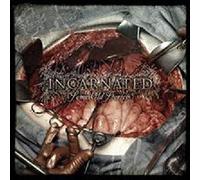 Incarnated - Some Old Stories