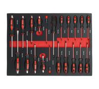 Incastratura Professionale Per Utensili Cacciavitore 21 Pezzi Magnetica CRV