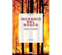 Incendio nel bosco