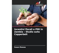 Incentivi fiscali e PMI in Zambia - Studio sulla Copperbelt